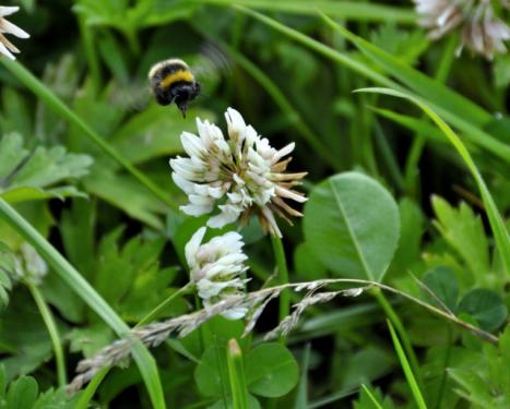 post-17796-008979600 1280339754_thumb.jpg