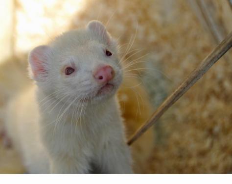 post-17796-045719600 1280339786_thumb.jpg