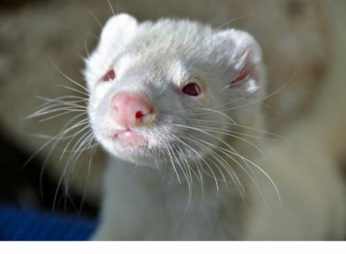 post-17796-070915400 1280339777_thumb.jpg