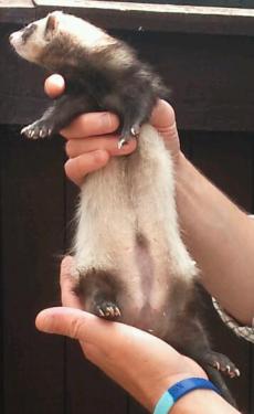 post-18045-060489900 1278773406_thumb.jpg