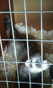 post-18045-063151800 1278773341_thumb.jpg