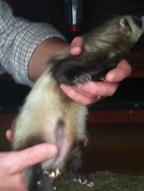 post-18045-079096000 1278773357_thumb.jpg