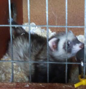 post-18045-080908100 1278773324_thumb.jpg