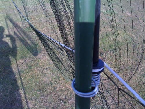 post-25004-040423500 1278192458_thumb.jpg