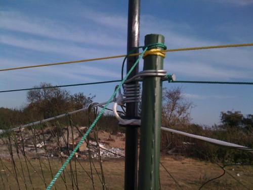 post-25004-040571200 1278192775_thumb.jpg