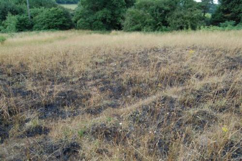 post-251-013925800 1279805992_thumb.jpg