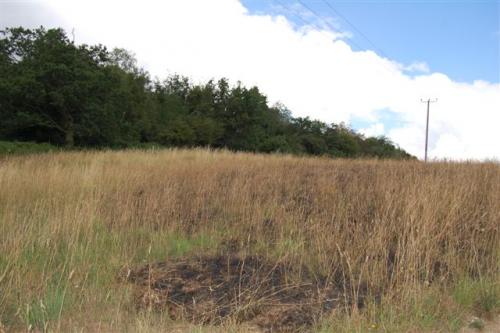 post-251-046591400 1279806063_thumb.jpg