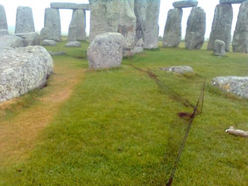 post-26945-051333600 1280346103_thumb.jpg