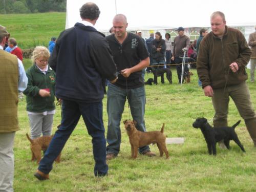 post-30882-033936900 1280080963_thumb.jpg