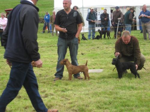 post-30882-051545300 1280080986_thumb.jpg