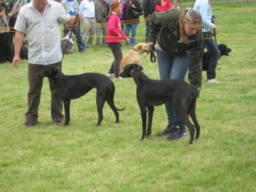 post-30882-093639000 1280081345_thumb.jpg