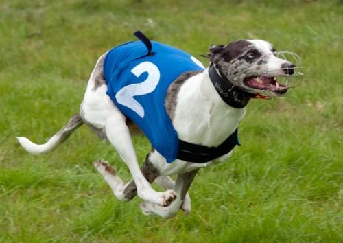 post-31054-010734100 1278889869_thumb.jpg