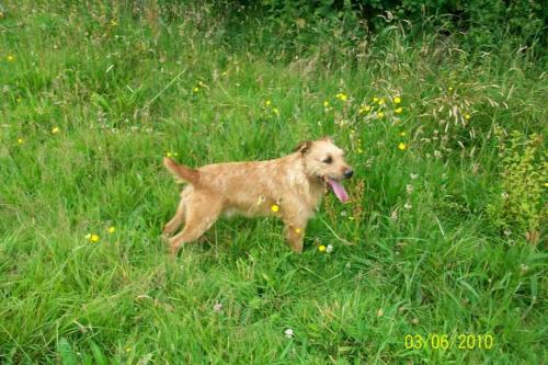 post-32721-049831700 1278249829_thumb.jpg