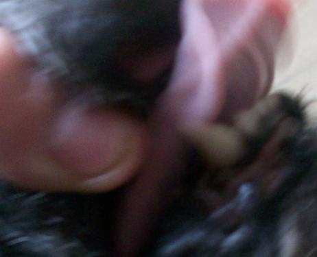 post-34026-007251000 1280158884_thumb.jpg