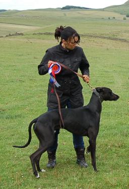 post-3748-002020700 1278972719_thumb.jpg