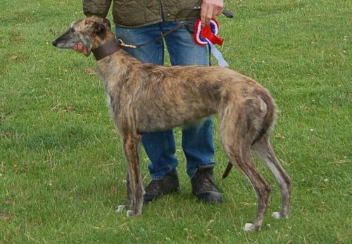 post-3748-077286600 1278972562_thumb.jpg