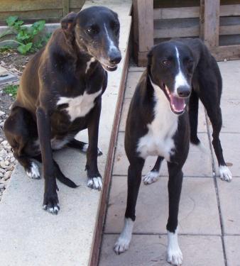 post-37850-007783400 1278851180_thumb.jpg