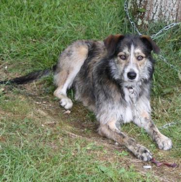 post-40706-009838500 1280610661_thumb.jpg