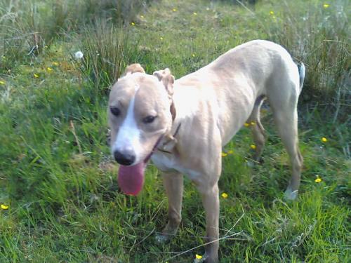 post-41377-045677900 1280350043_thumb.jpg