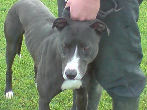 post-41377-047602400 1280349889_thumb.jpg