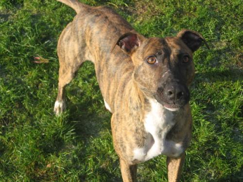 post-41377-058959600 1280350588_thumb.jpg