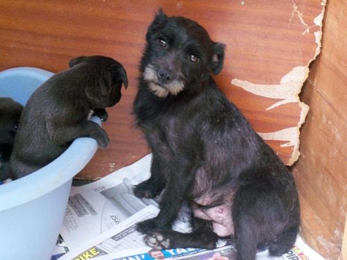 post-43444-007097800 1280325623_thumb.jpg