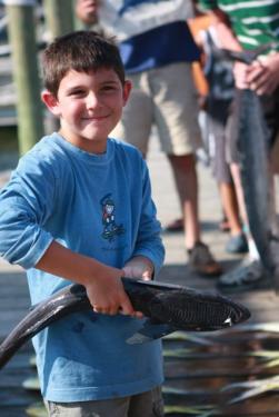 post-45474-037744200 1279735916_thumb.jpg