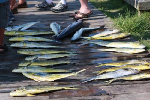 post-45474-060537000 1279735920_thumb.jpg