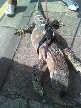 post-49961-085482400 1278758083_thumb.jpg