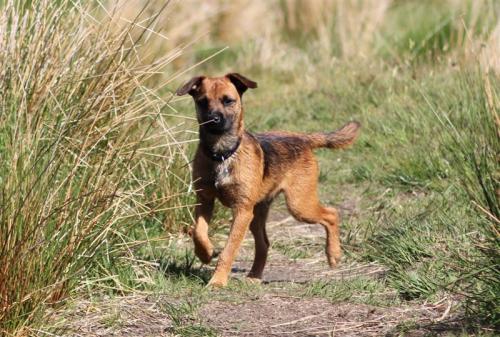 post-52506-062721000 1279399641_thumb.jpg