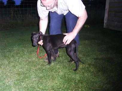 post-5845-030182800 1280180295_thumb.jpg