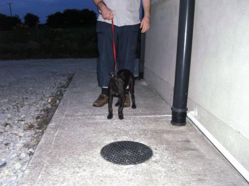 post-5845-085212200 1280180380_thumb.jpg