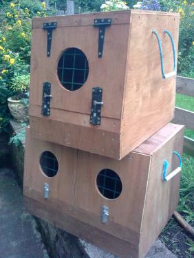 post-5953-020343500 1280074394_thumb.jpg