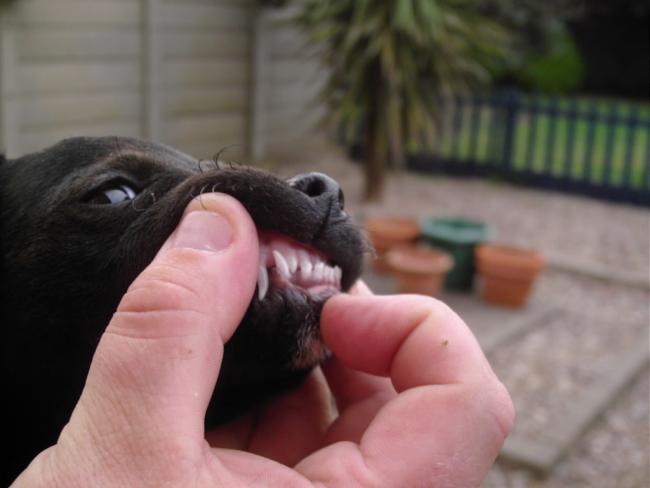 post-67832-0-39699000-1375210364_thumb.jpg
