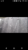 post-94895-0-77756500-1468139871_thumb.png