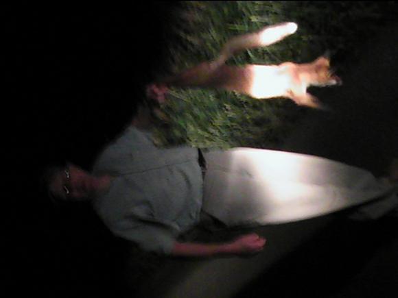 post-10209-1186403250_thumb.jpg