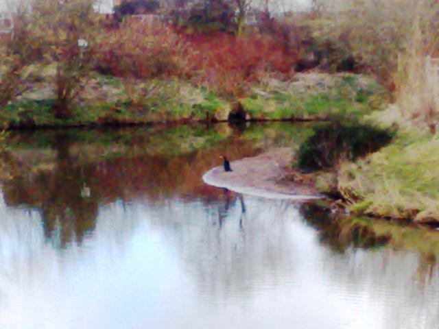 post-26552-1250084420_thumb.jpg