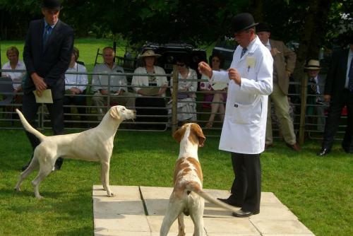 post-10409-048063200 1281958894_thumb.jpg