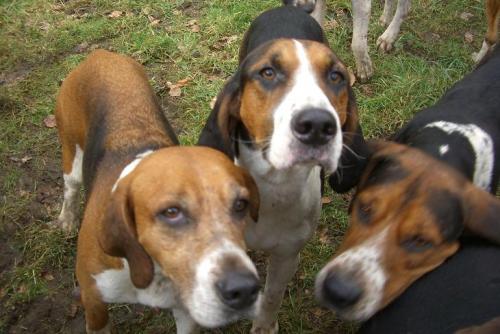 post-10409-068928900 1281027638_thumb.jpg