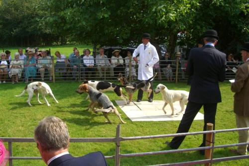 post-10409-091539900 1281958859_thumb.jpg