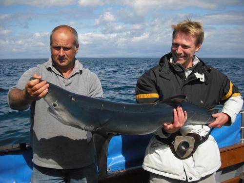 post-12464-009421700 1281722164_thumb.jpg