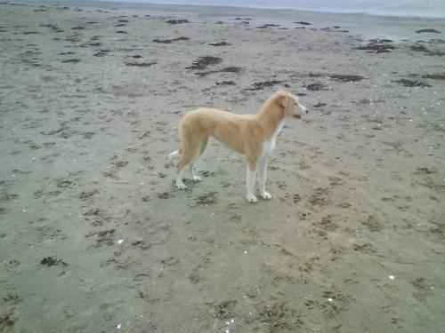 post-14357-000762200 1281447060_thumb.jpg