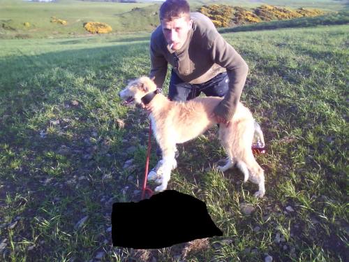 post-14357-011005400 1281546808_thumb.jpg