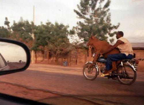 post-17265-014789200 1281536487_thumb.jpg