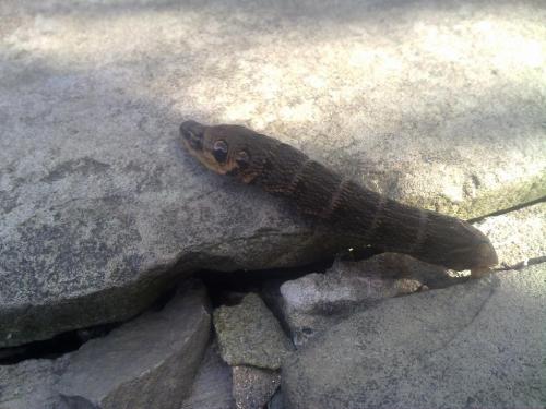 post-17284-008319600 1282053240_thumb.jpg