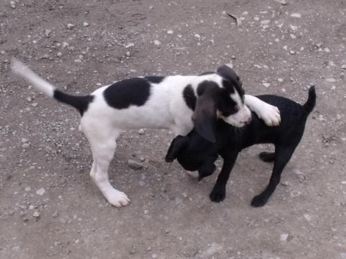 post-21417-053977400 1281777916_thumb.jpg