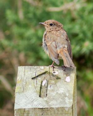 post-25214-025815300 1281634697_thumb.jpg