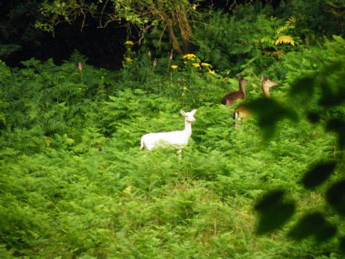 post-28130-091860700 1280779695_thumb.jpg