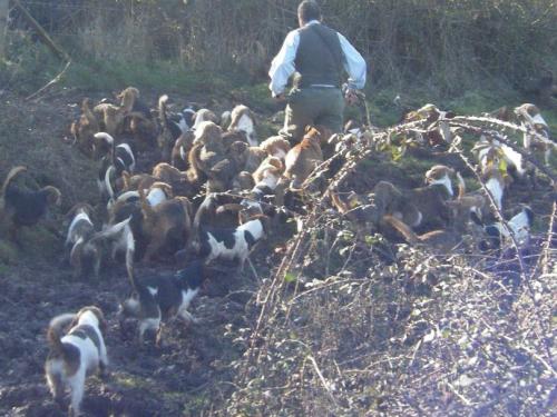 post-33-088091600 1281130881_thumb.jpg