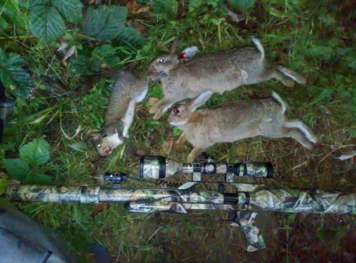 post-36249-078930300 1281821934_thumb.jpg